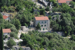 Hotels in Staševica